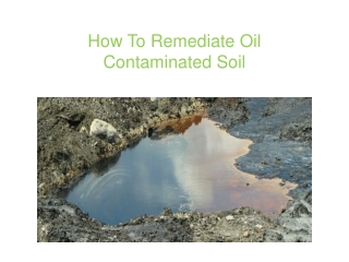 How To Remediate Oil Contaminated Soil