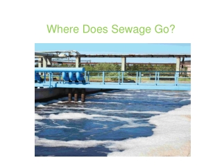 Where Does Sewage Go