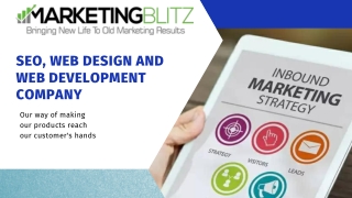 Seo, Web design And Web Development Company- Marketing Blitz
