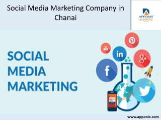 social-media-marketing-company-in-chennai