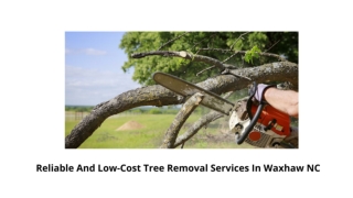 Reliable And Low-Cost Tree Removal Services In Waxhaw NC