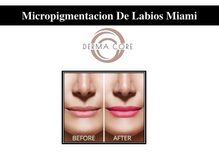 Micropigmentacion De Labios Miami