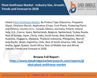 Global Plant Antifreeze Market - Industry Trends and Forecast to 2028
