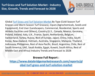 Global Turf Grass and Turf Solution Market - Industry Trends and Forecast