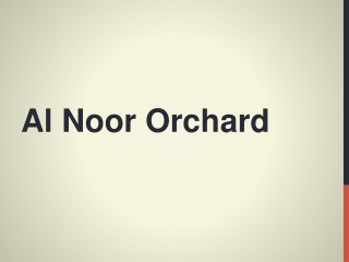 Al-Noor-orchard