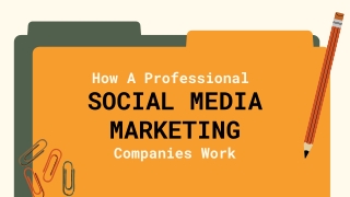 How A Professional Social Media Marketing Companies Work