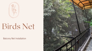 Book Anti Bird Netting At Best Prices From Birds Net