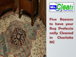 Five Reasons to have your Rug Professionally Cleaned in Charlotte NC