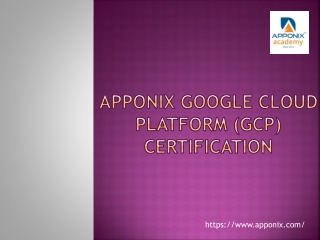 APPONIX GCP PRESENTATION