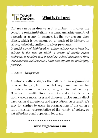 What is Culture