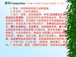 菊科 Compositae *↑K0～∞C(3～5 )A(4～5)G(2∶1∶1)。