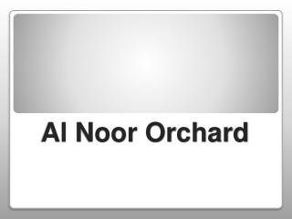 Al-Noor-Orchard