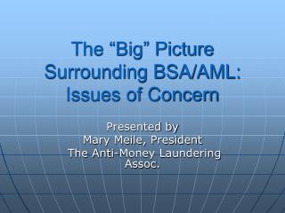 The “Big” Picture Surrounding BSA/AML: Issues of Concern