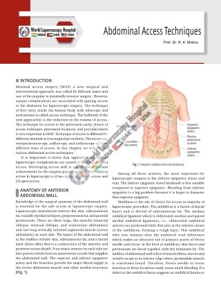 Abdominal Access Techniques