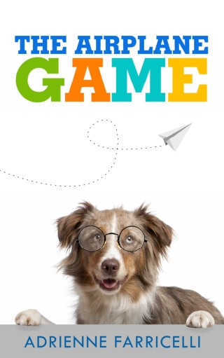 The Airplane Game For Dog's