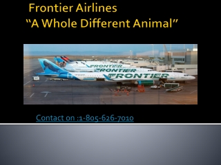 how to talk to a live person in frontier airlines