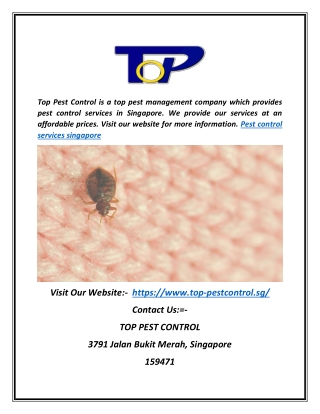 Pest Control Services in Singapore