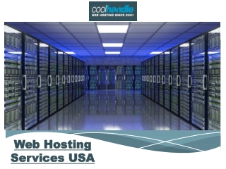 Web Hosting Services USA
