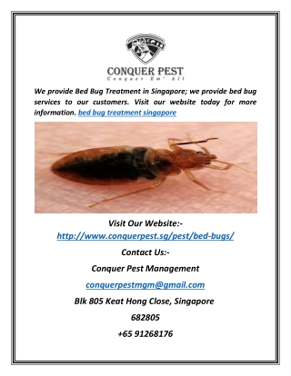 Bed Bug Treatment Singapore | Conquer Pest