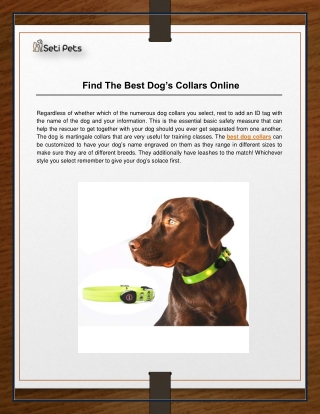 Find The Best Dog’s Collars Online