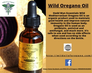 Wild Oregano Extracted Oil