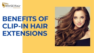 Clip in Human Hair Extensions