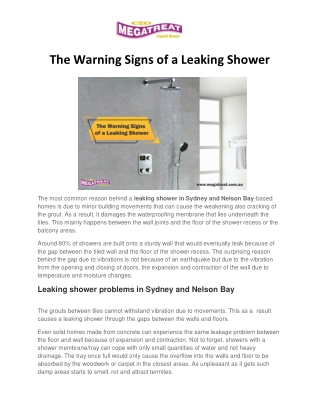 The Warning Signs of a Leaking Shower