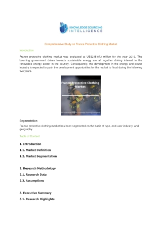 Comprehensive Study on France Protective Clothing Market