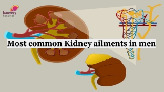 Most common Kidney ailments in men