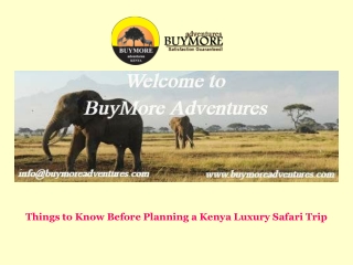 Things to Know Before Planning a Kenya Luxury Safari Trip