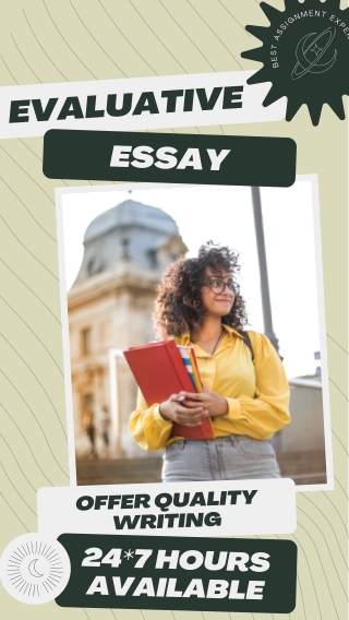 Evaluative essay