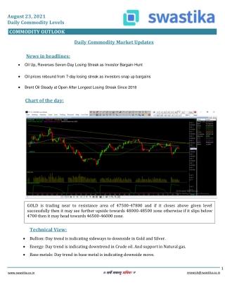 Commodity daily levels (23-August)