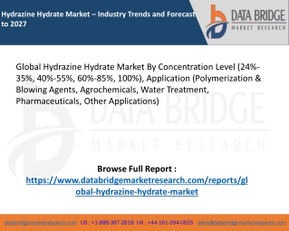 Global Hydrazine Hydrate Market – Industry Trends and Forecast to 2027