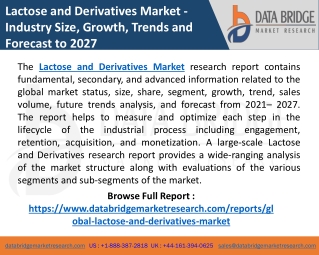 Lactose and Derivatives Market Global Industry Share, Size, & Growth
