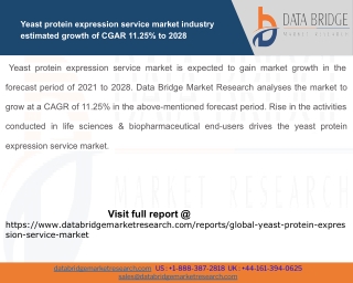 Yeast Protein Expression Service Market – Industry Trends and Forecast to 2028