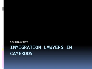 Immigration lawyers in Cameroon