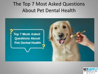 Top 7 Most Asked Questions about Pet Dental Health | VetSupply