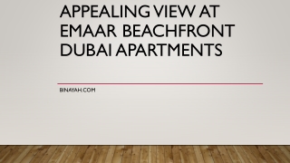 Appealing View at Emaar Beachfront Dubai Apartments