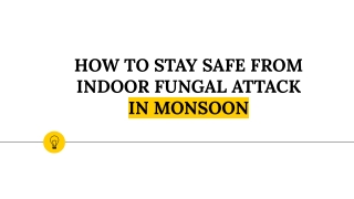 HOW TO STAY SAFE FROM INDOOR FUNGAL ATTACK IN MONSOON