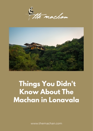 TREE HOUSE NEAR MUMBAI - THE MACHAN