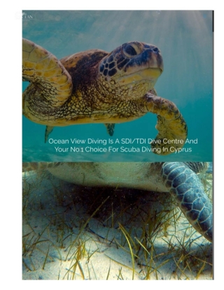 The best divemaster dive course in Cyprus
