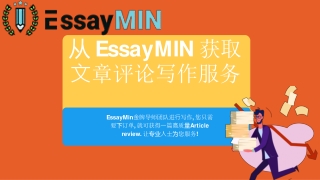 从 EssayMIN 获取⽂章评论写作服务