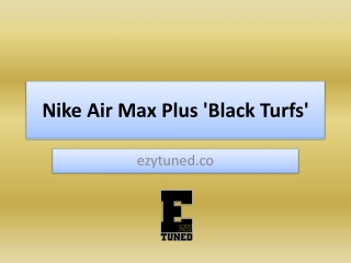 Nike Air Max Plus 'Black Turfs'