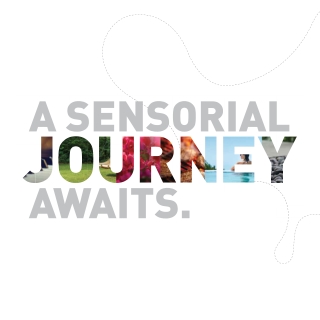 Shapoorji Pallonji Joyville Sensorium Hinjewadi Pune