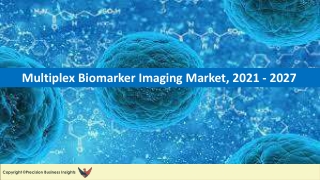 Global Multiplex Biomarker Imaging Market With Strategic Trends, Growth, Revenue