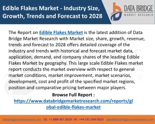 Edible Flakes Market 2021 Size, Share, Growth and Regional Analysis