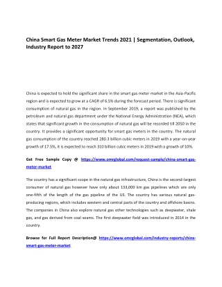 China Smart Gas Meter Market Trends 2021