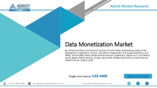 Data Monetization Market 2020 Size, Demand, Trends and Growth by Business Opport