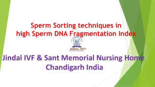 Sperm Preparation in High DFI | Infertility Treatment | Jindal IVF Chandigarh