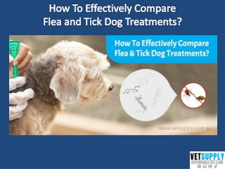 How to Effectively Compare Flea and Tick Treatment for Dogs | VetSupply